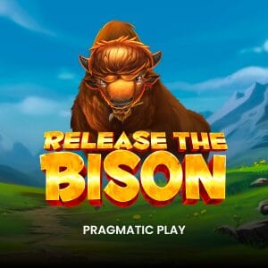 Release the Bison thumbnail